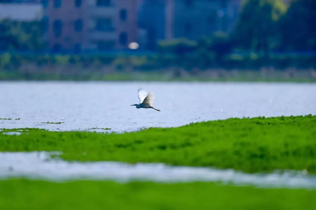 微信图片_20190708103202.jpg