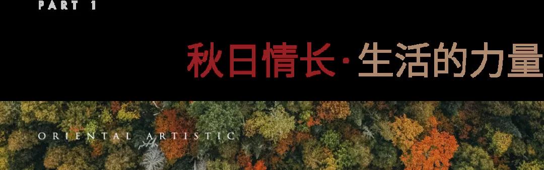 1634523981249.jpg 微信图片_20211018102612.jpg